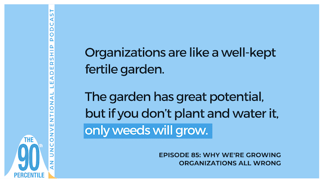 90th Percentile Podcast Episode 85 growing organization